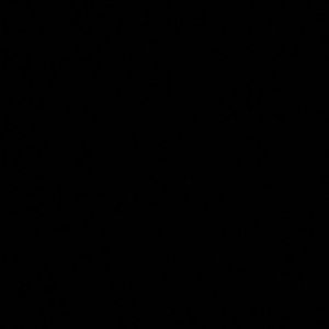 Meet your Posher, Ramon